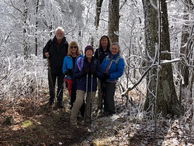 Hikers group on forest trail in winter