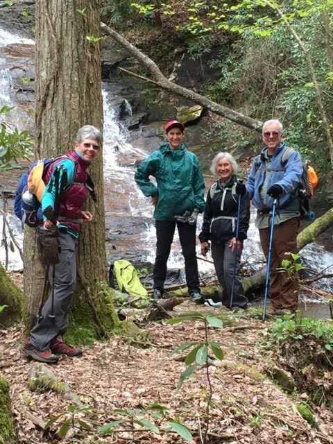 Hikers forest stream trail woodland