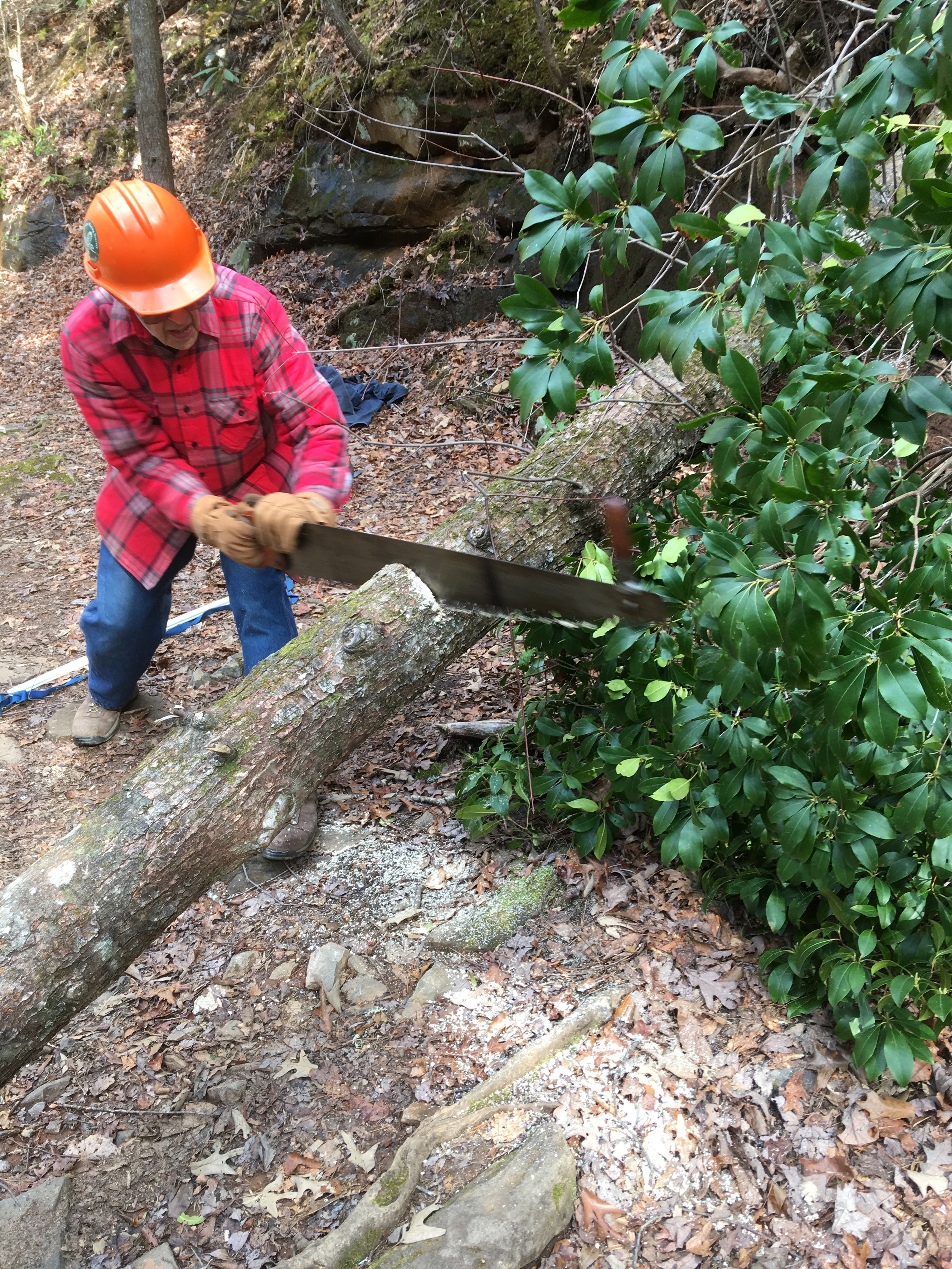 MHH volunteer sawing through a fallen log on the trail
